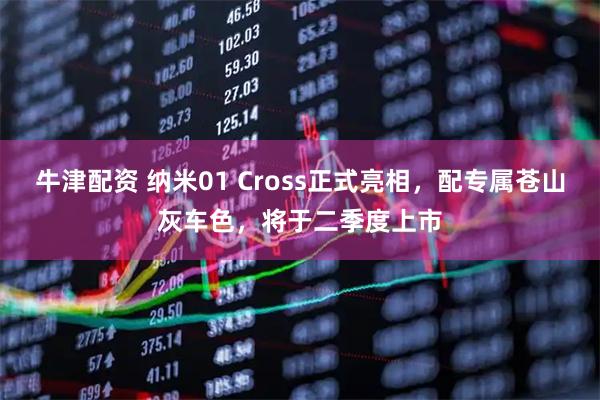 牛津配资 纳米01 Cross正式亮相，配专属苍山灰车色，将于二季度上市