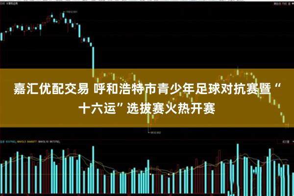 嘉汇优配交易 呼和浩特市青少年足球对抗赛暨“十六运”选拔赛火热开赛