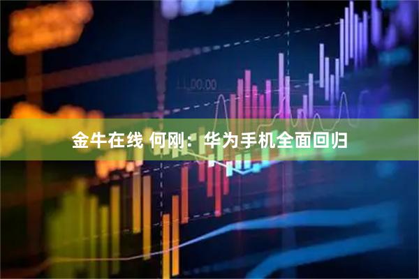 金牛在线 何刚：华为手机全面回归