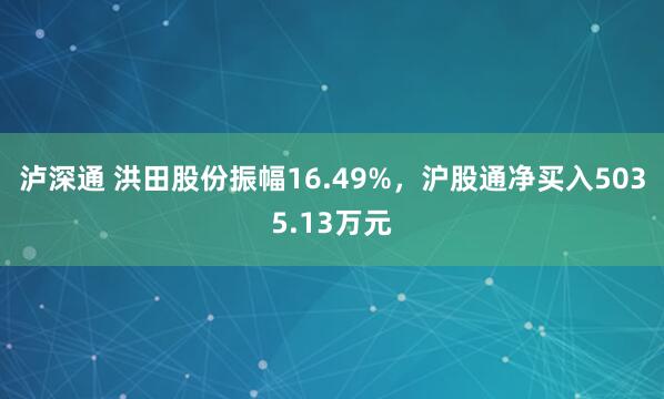 泸深通 洪田股份振幅16.49%，沪股通净买入5035.13万元